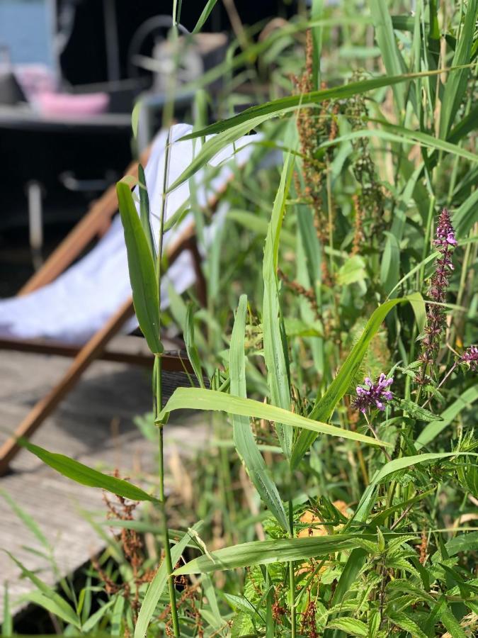 Chalet Aan De Rotte Rotterdam Zewnętrze zdjęcie